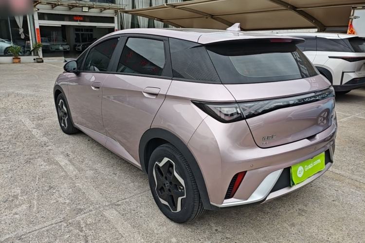 Used BYD Dolphin 2021 405 km Fashion Edition Rear Left 45 Deg