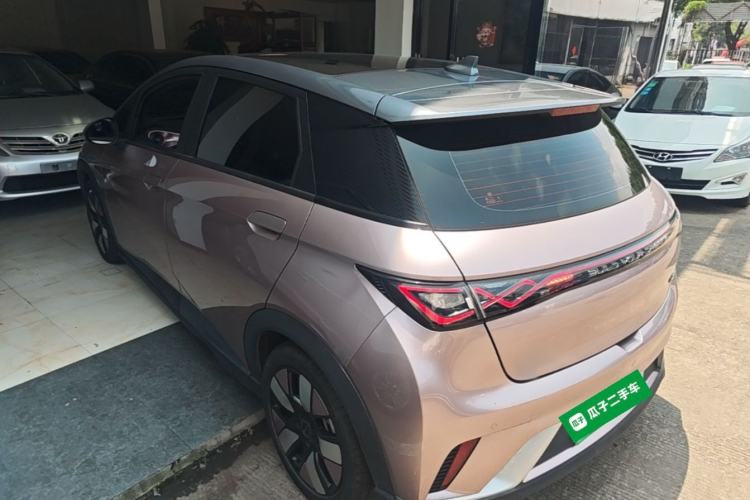 Used BYD Dolphin 2021 401km Knight Edition Rear Left 45 Deg