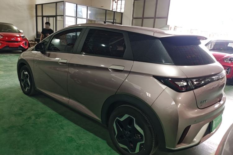 Used BYD Dolphin 2021 405 km Fashion Edition Rear Left 45 Deg