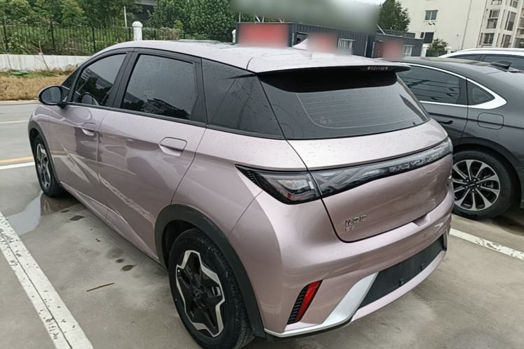 Used BYD Dolphin 2021 405 km Fashion Edition Rear Left 45 Deg