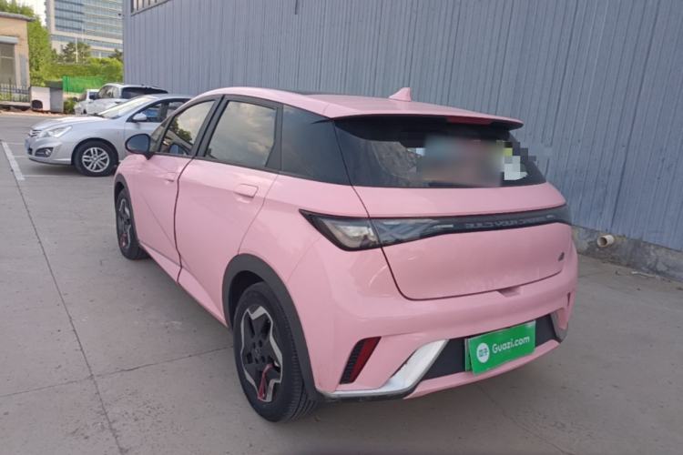 Used BYD Dolphin 2021 405 km Fashion Edition Rear Left 45 Deg