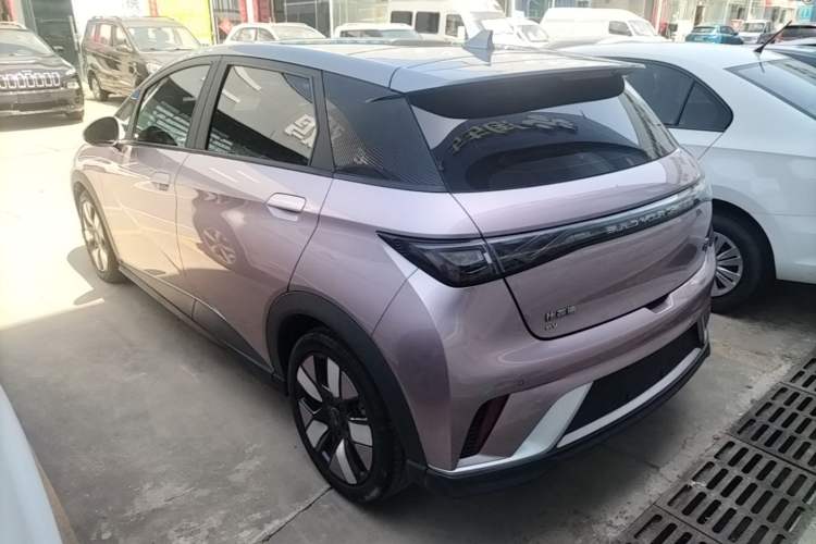 Used BYD Dolphin 2021 401km Knight Edition Rear Left 45 Deg