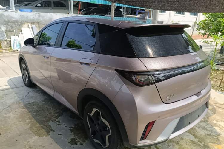 Used BYD Dolphin 2021 405 km Free Version Rear Left 45 Deg