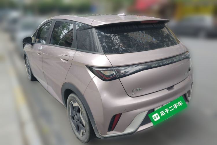 Used BYD Dolphin 2021 405 km Fashion Edition Rear Left 45 Deg