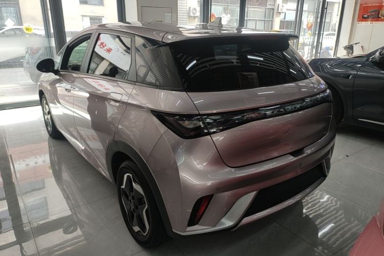 Used BYD Dolphin 2021 405 km Free Version Rear Left 45 Deg