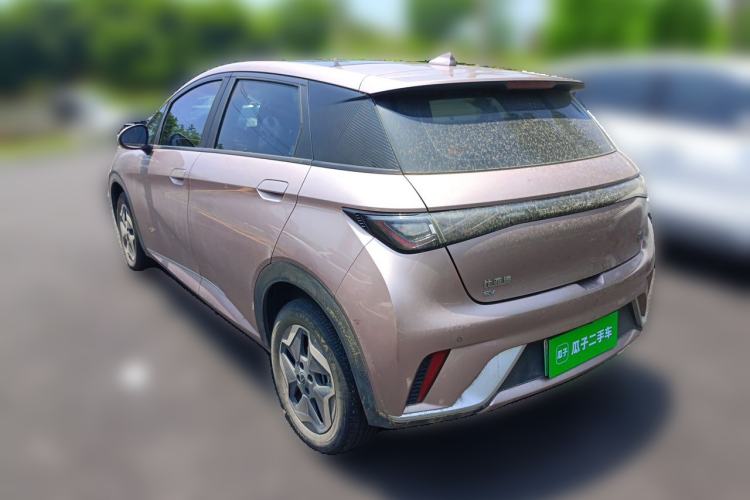 Used BYD Dolphin 2021 405 km Fashion Edition Rear Left 45 Deg