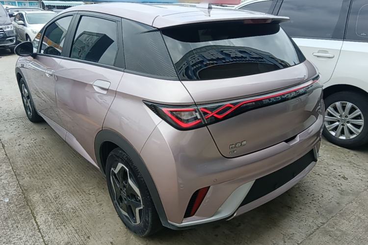 Used BYD Dolphin 2021 405 km Free Version Rear Left 45 Deg