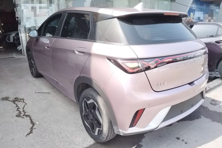 Used BYD Dolphin 2021 405 km Fashion Edition Rear Left 45 Deg