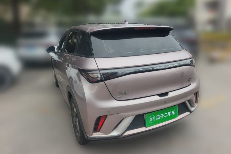 Used BYD Dolphin 2021 405 km Free Version Rear Left 45 Deg