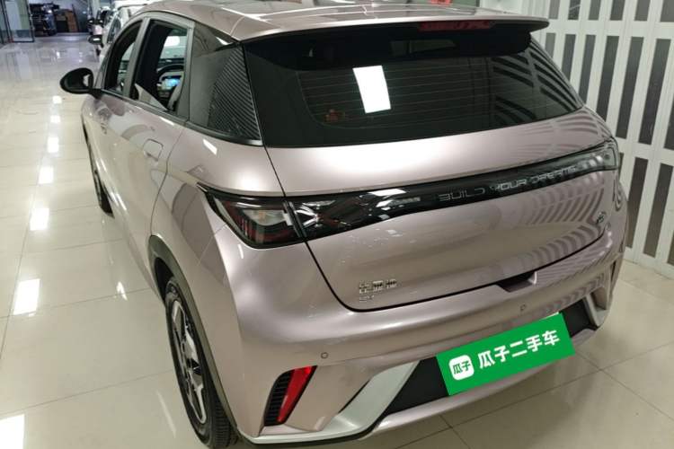 Used BYD Dolphin 2021 405 km Fashion Edition Rear Left 45 Deg