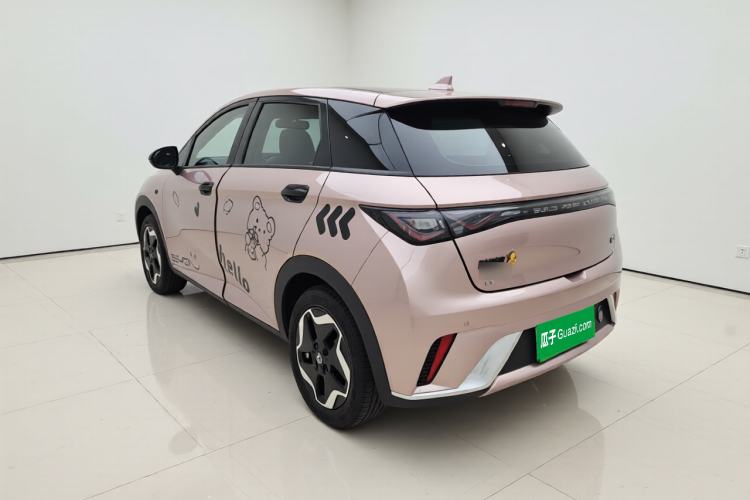 Used BYD Dolphin 2021 405 km Fashion Edition Rear Left 45 Deg