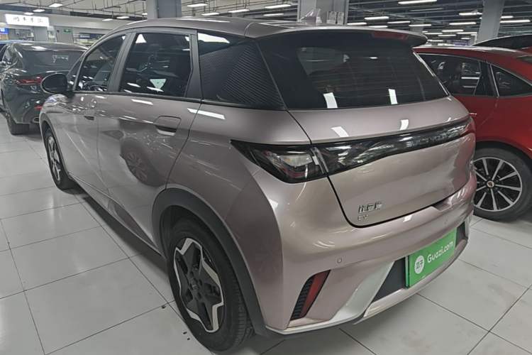 Used BYD Dolphin 2021 405 km Free Version Rear Left 45 Deg