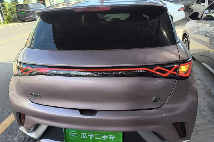 Used BYD Dolphin 2021 405 km Fashion Edition Rear
