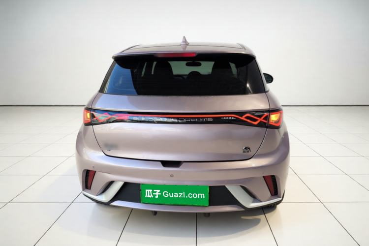 Used BYD Dolphin 2021 405 km Fashion Edition Rear