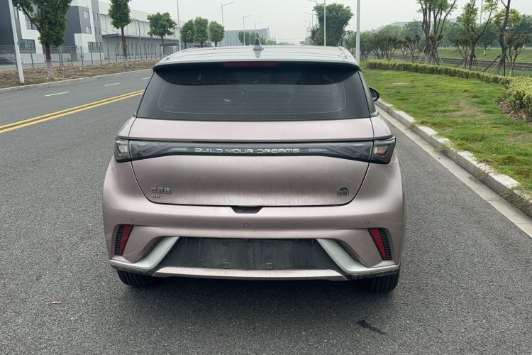 Used BYD Dolphin 2021 405 km Fashion Edition Rear