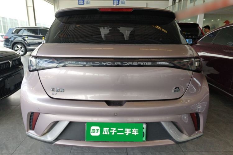Used BYD Dolphin 2021 405 km Fashion Edition Rear