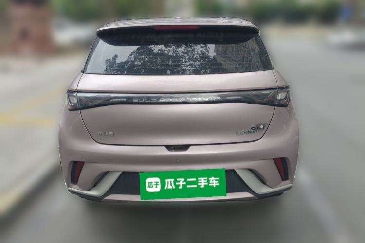 Used BYD Dolphin 2021 405 km Fashion Edition Rear