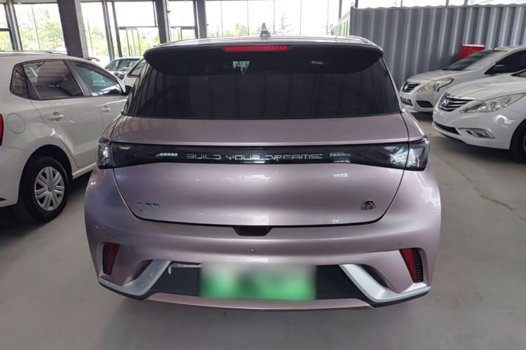 Used BYD Dolphin 2021 405 km Free Version Rear