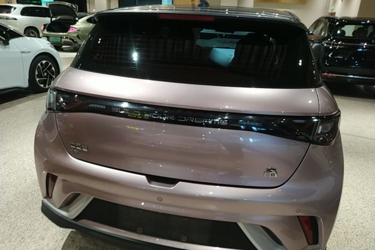 Used BYD Dolphin 2021 401km Knight Edition Rear