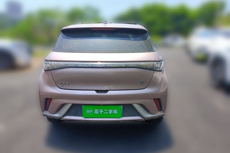 Used BYD Dolphin 2021 405 km Fashion Edition Rear
