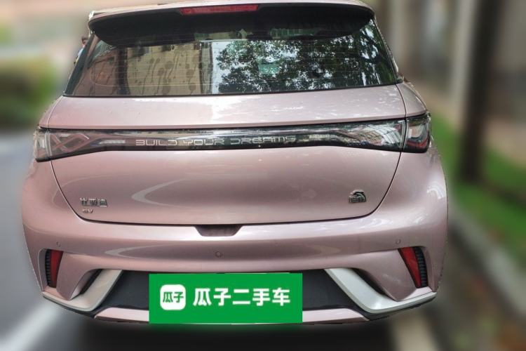 Used BYD Dolphin 2021 405 km Fashion Edition Rear