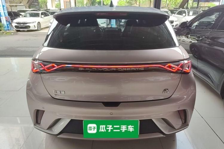 Used BYD Dolphin 2021 405 km Fashion Edition Rear