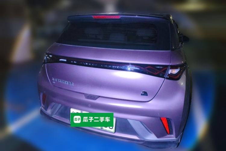 Used BYD Dolphin 2021 401km Knight Edition Rear