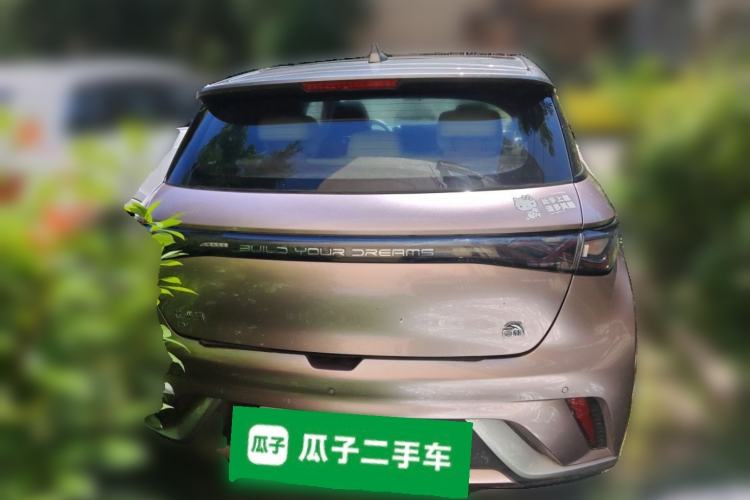 Used BYD Dolphin 2021 405 km Fashion Edition Rear