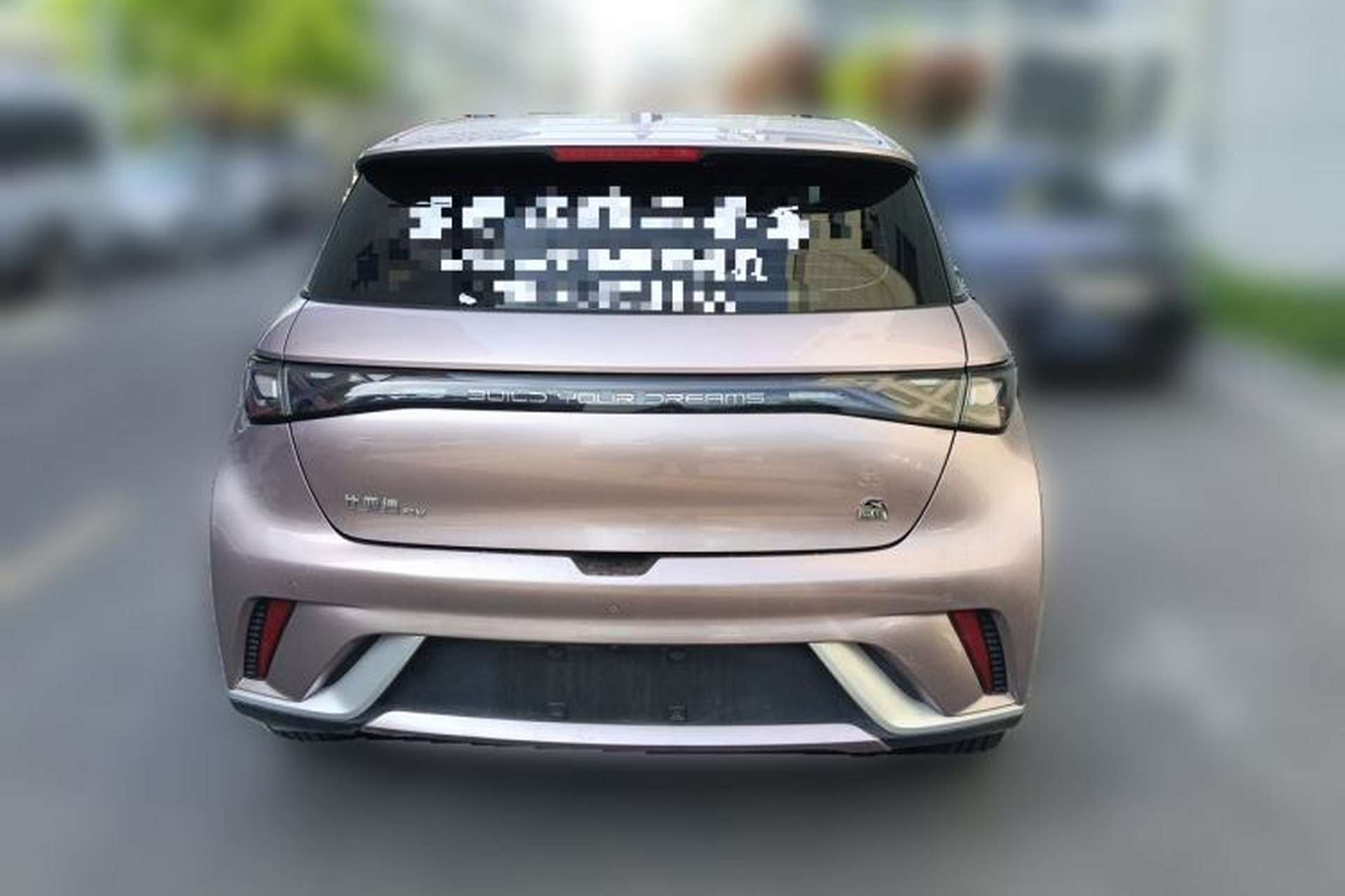 Used BYD Dolphin 2021 405 km Fashion Edition Rear