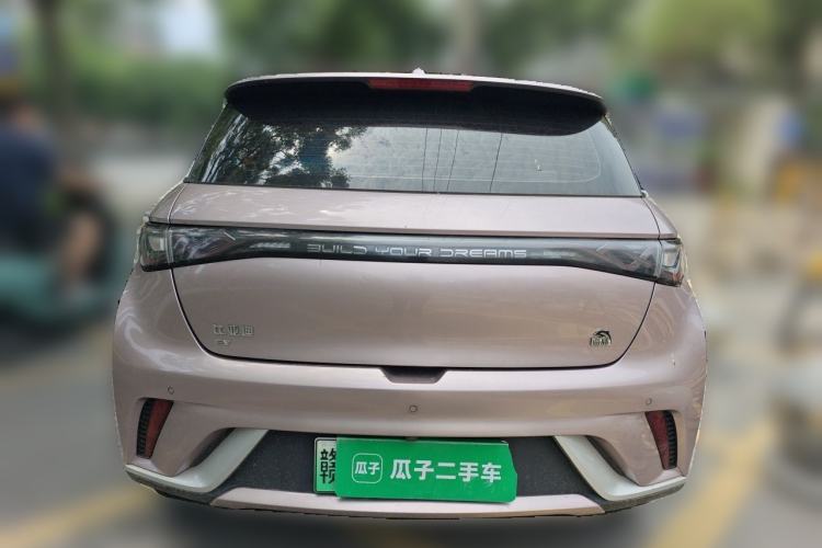 Used BYD Dolphin 2021 405 km Free Version Rear