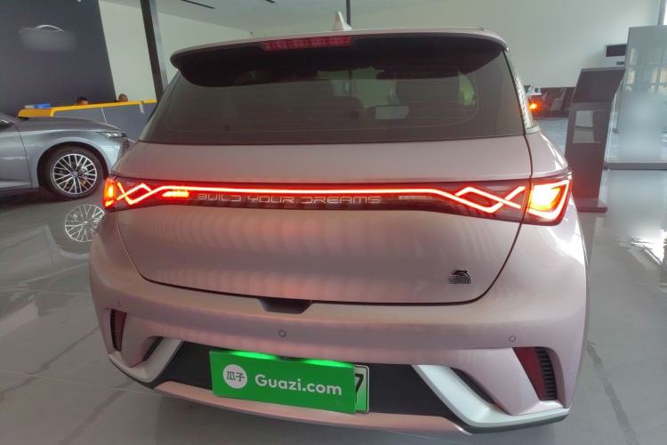 Used BYD Dolphin 2021 405 km Fashion Edition Rear