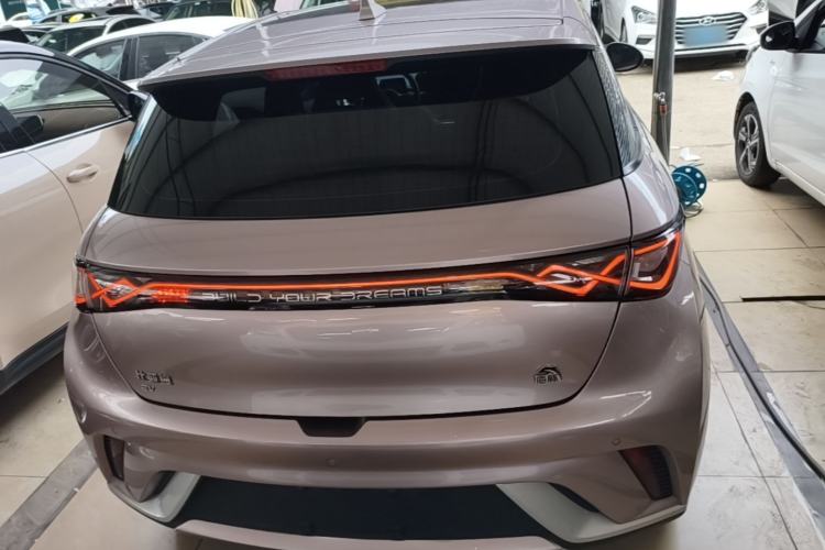 Used BYD Dolphin 2021 405 km Fashion Edition Rear
