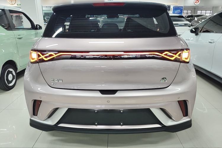 Used BYD Dolphin 2021 401km Knight Edition Rear