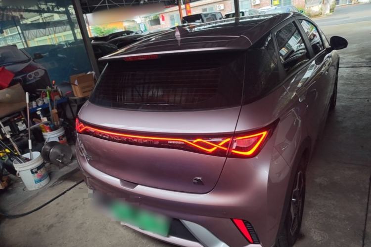 Used BYD Dolphin 2021 405 km Fashion Edition Rear