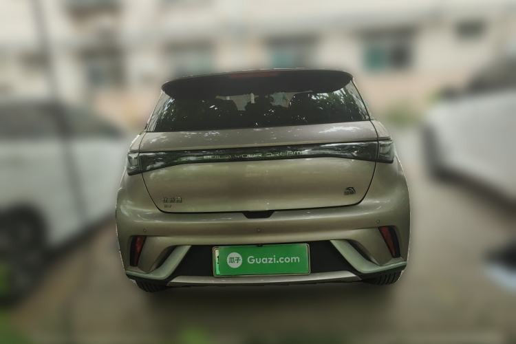 Used BYD Dolphin 2021 405 km Fashion Edition Rear