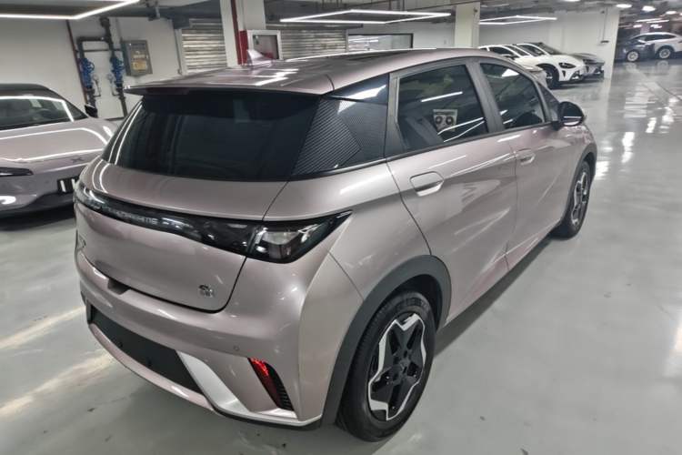 Used BYD Dolphin 2021 405 km Fashion Edition Rear Right 45 Deg