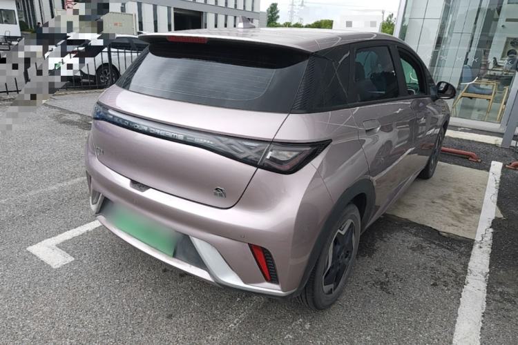Used BYD Dolphin 2021 405 km Fashion Edition Rear Right 45 Deg