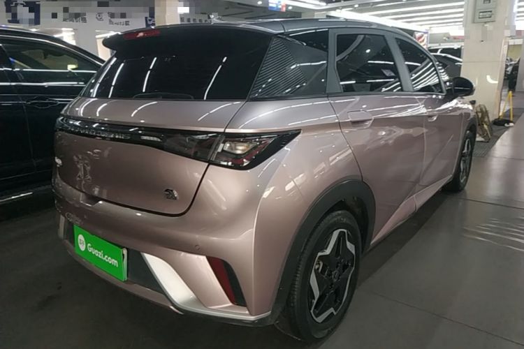 Used BYD Dolphin 2021 405 km Fashion Edition Rear Right 45 Deg