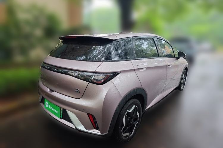 Used BYD Dolphin 2021 405 km Free Version Rear Right 45 Deg