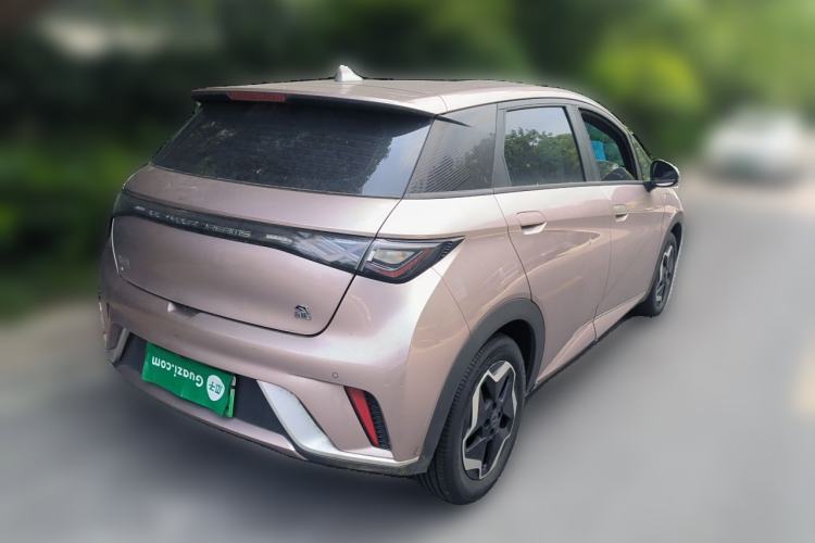 Used BYD Dolphin 2021 405 km Free Version Rear Right 45 Deg