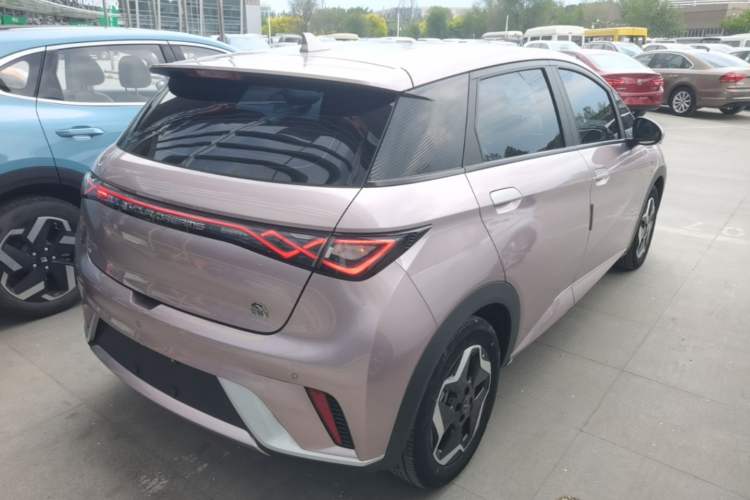Used BYD Dolphin 2021 405 km Free Version Rear Right 45 Deg