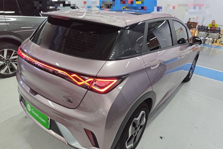 Used BYD Dolphin 2021 405 km Fashion Edition Rear Right 45 Deg