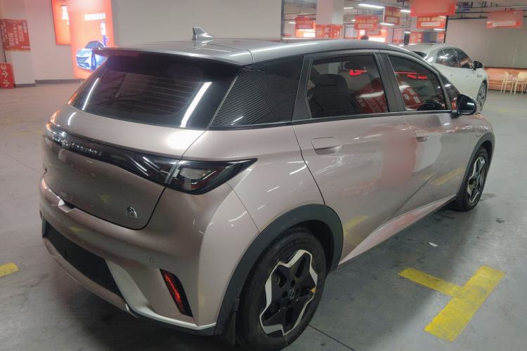 Used BYD Dolphin 2021 405 km Fashion Edition Rear Right 45 Deg