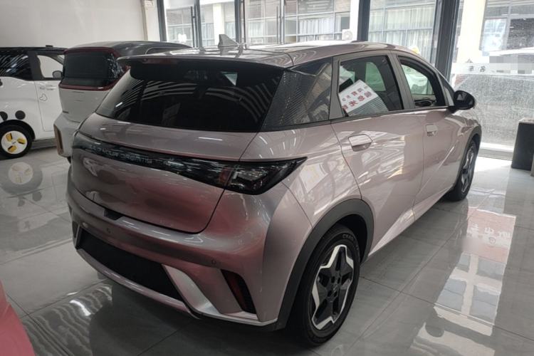 Used BYD Dolphin 2021 405 km Free Version Rear Right 45 Deg