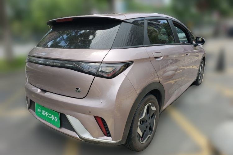 Used BYD Dolphin 2021 405 km Free Version Rear Right 45 Deg