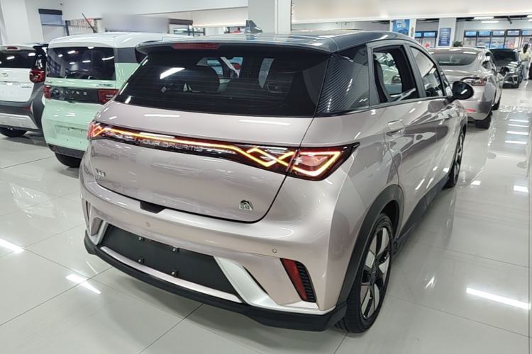 Used BYD Dolphin 2021 401km Knight Edition Rear Right 45 Deg