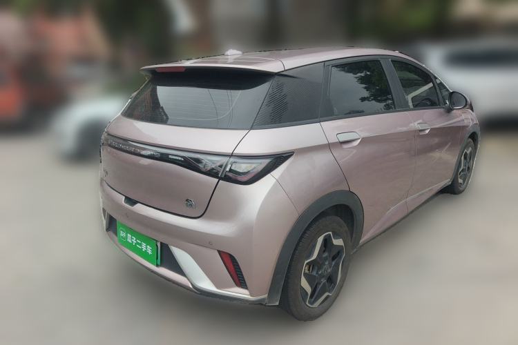 Used BYD Dolphin 2021 405 km Free Version Rear Right 45 Deg
