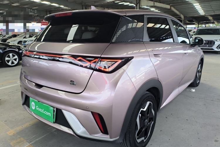 Used BYD Dolphin 2021 405 km Free Version Rear Right 45 Deg