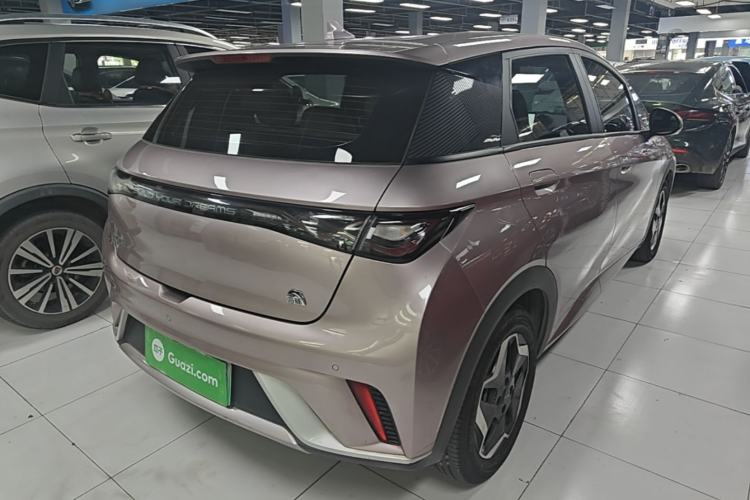 Used BYD Dolphin 2021 405 km Free Version Rear Right 45 Deg