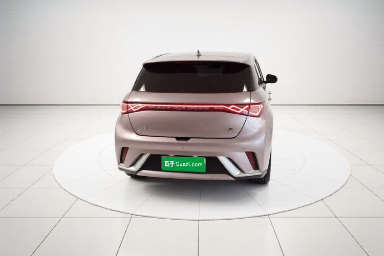 Used BYD Dolphin 2021 405 km Fashion Edition Rear
